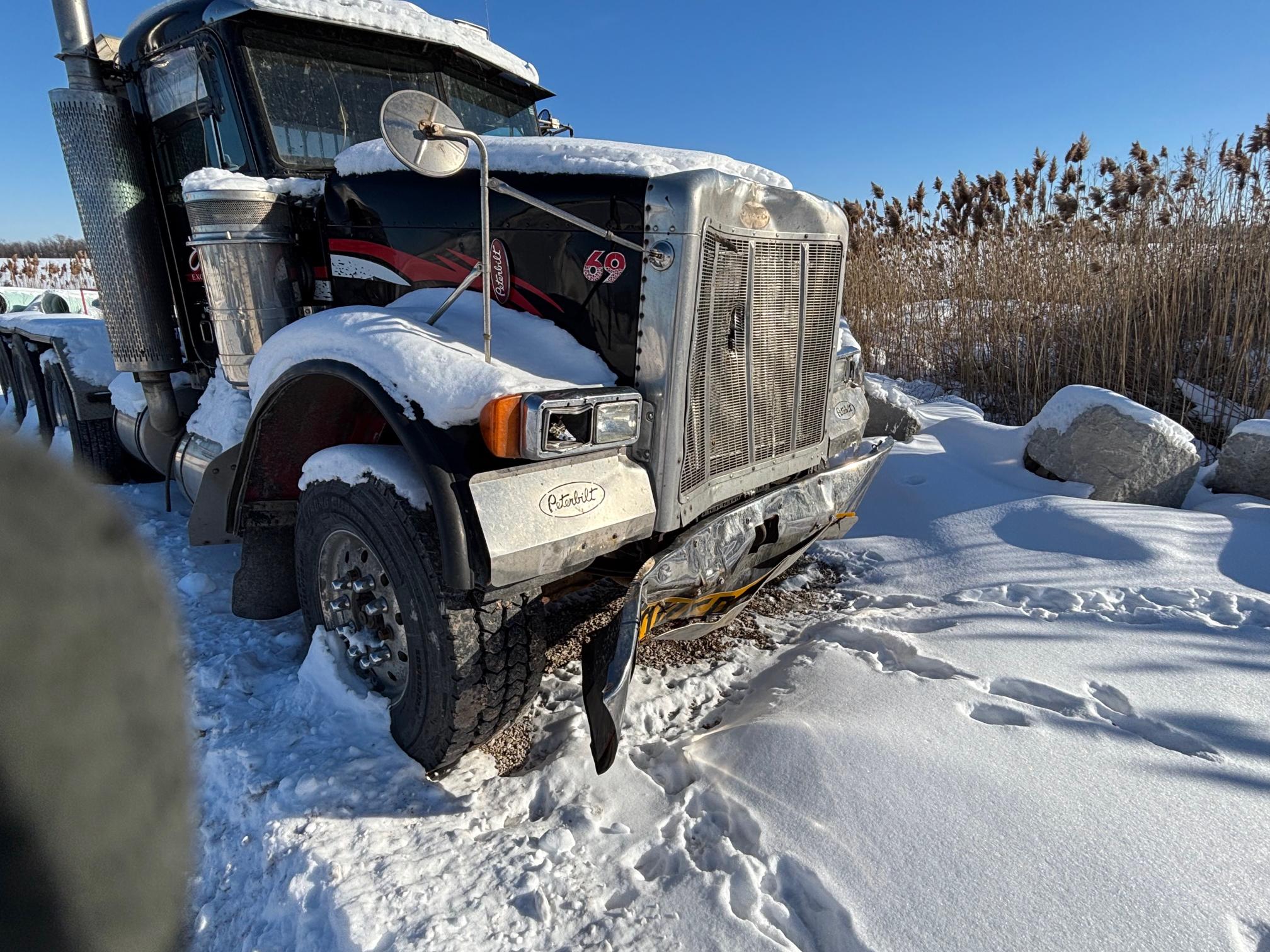2003 PETERBILT 385 - Image 2